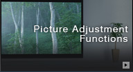 Picture Adjustment Functions