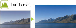 Landschaft