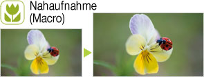 Nahaufnahme (Macro)