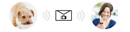 Automatische Foto-E-Mail